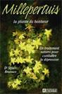 Millepertuis, la plante du bonheur. Steven Bratman (dr) Millepertuis, la plante du bonheur. Steven Bratman (dr)